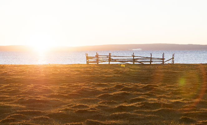 白內(nèi)障病因